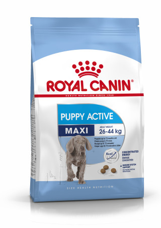 Maxi Puppy Active